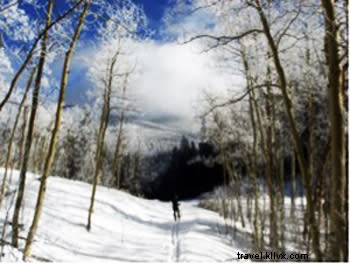 Santa Fe Winter Sports Guide: Skiing, Snowboarding, Snowshoeing & Ice Skating