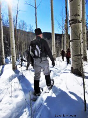 Santa Fe Winter Sports Guide: Skiing, Snowboarding, Snowshoeing & Ice Skating