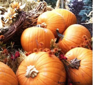Santa Fe s Autumn Harvest: Farmers Markets, Pie Contests, and Culinary Festivals