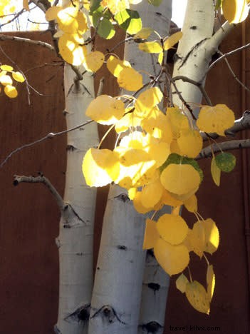 Discover Santa Fe s Stunning Fall Foliage: Top Ways to Experience Autumn s Golden Glow
