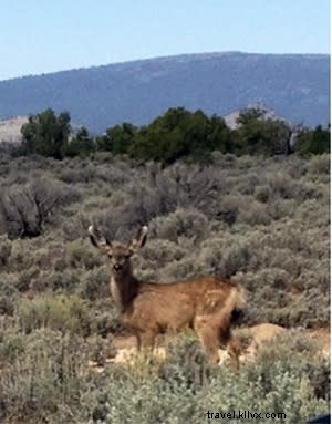 Discover Santa Fe s Stunning Fall Foliage: Top Ways to Experience Autumn s Golden Glow
