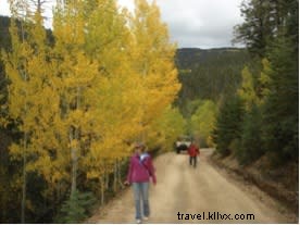 Discover Santa Fe s Stunning Fall Foliage: Top Ways to Experience Autumn s Golden Glow