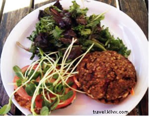 Savor the Art of Dining: Iconic Restaurants on Santa Fe s Canyon Road