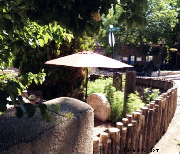 Santa Fe s Top Coffee and Tea Spots: Energize Your Visit to the City Different