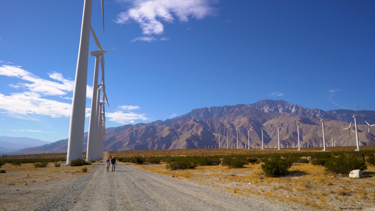 Ultimate Greater Palm Springs Pride Getaway Guide: Food, Fun, Nightlife & More