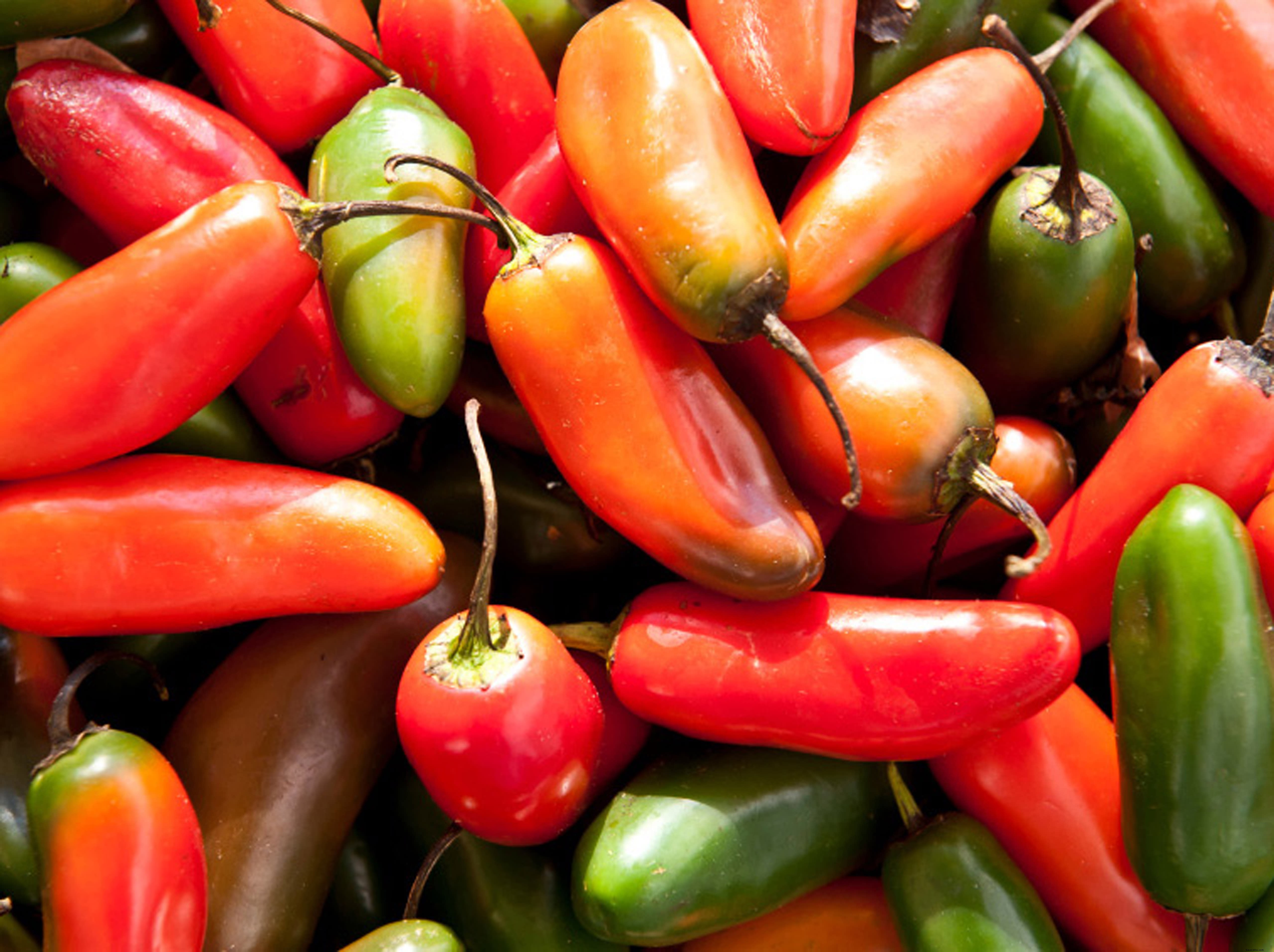 Discover Fresh Delights: Certified Farmers Markets in Greater Palm Springs