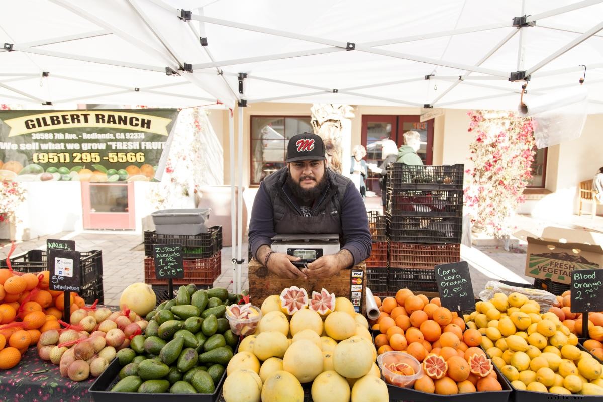 5 Eco-Friendly Ways to Travel Sustainably in Greater Palm Springs