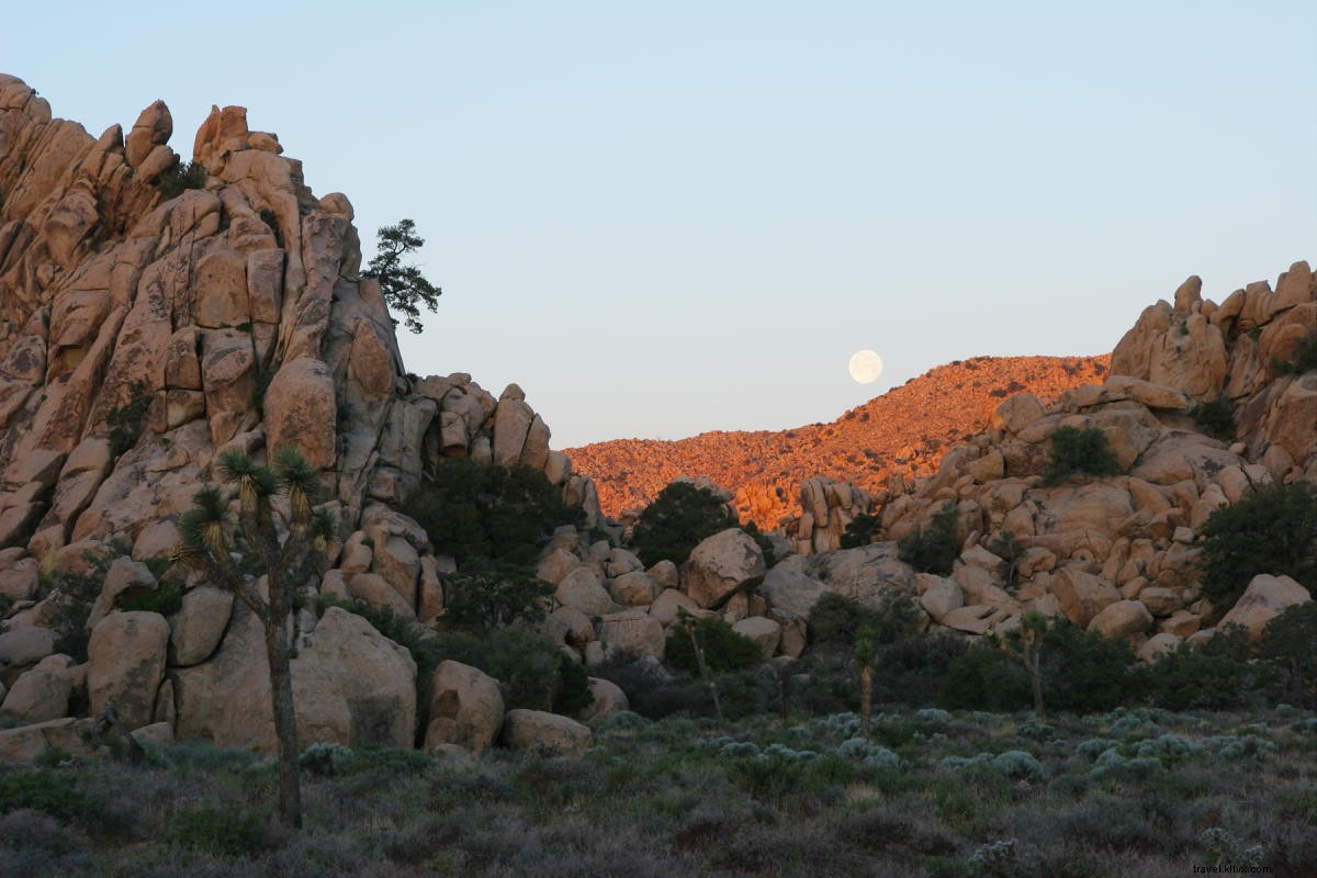 9 Compelling Reasons to Visit Greater Palm Springs This Fall