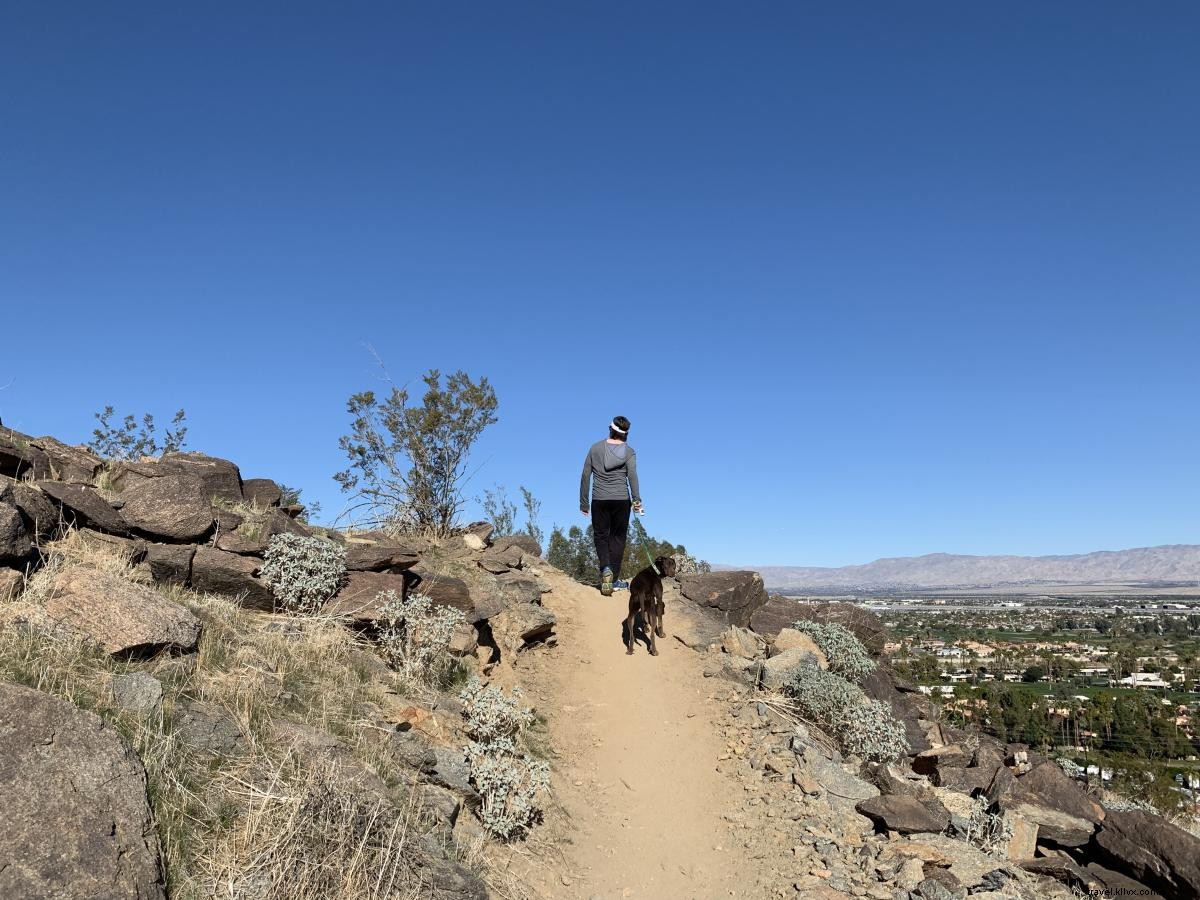 Essential Hiking Safety Tips for Greater Palm Springs Trails – Expert Advice from PSMP-SAR