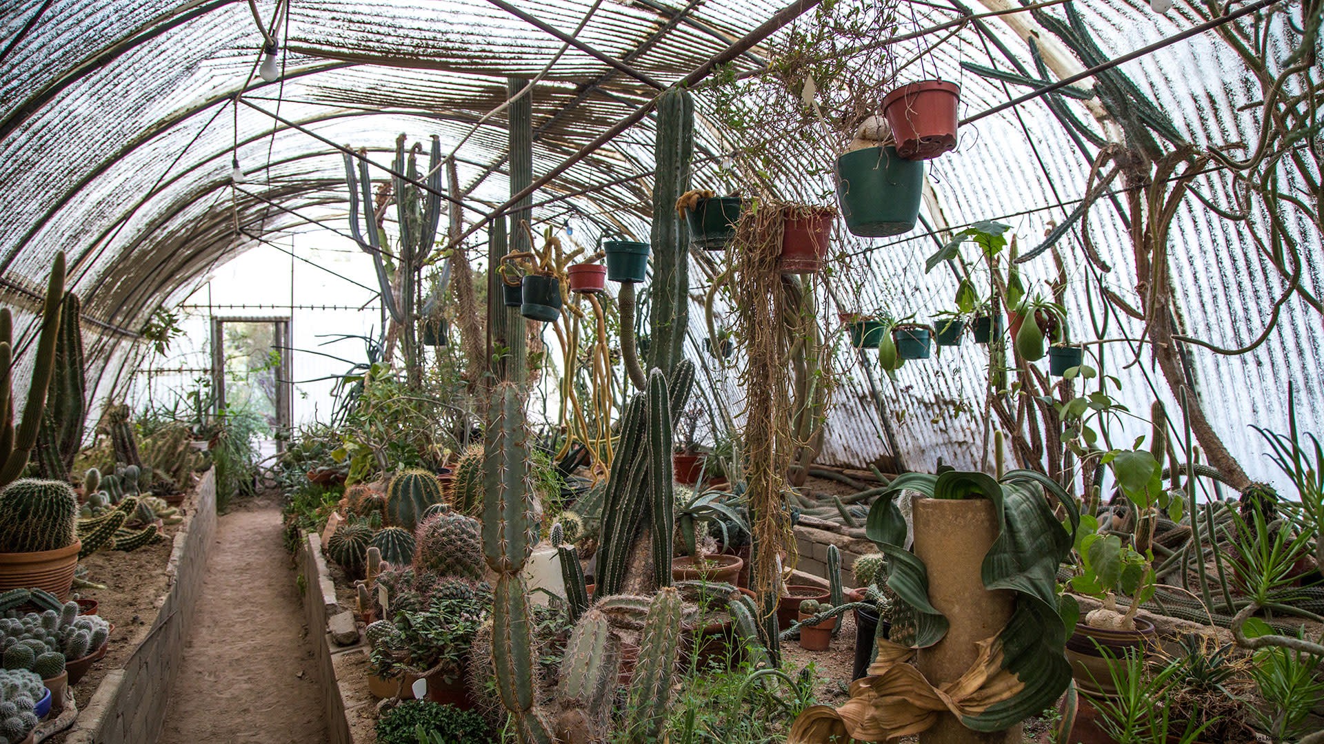 Top Instagram-Worthy Spots in Greater Palm Springs: Ultimate Photo Guide