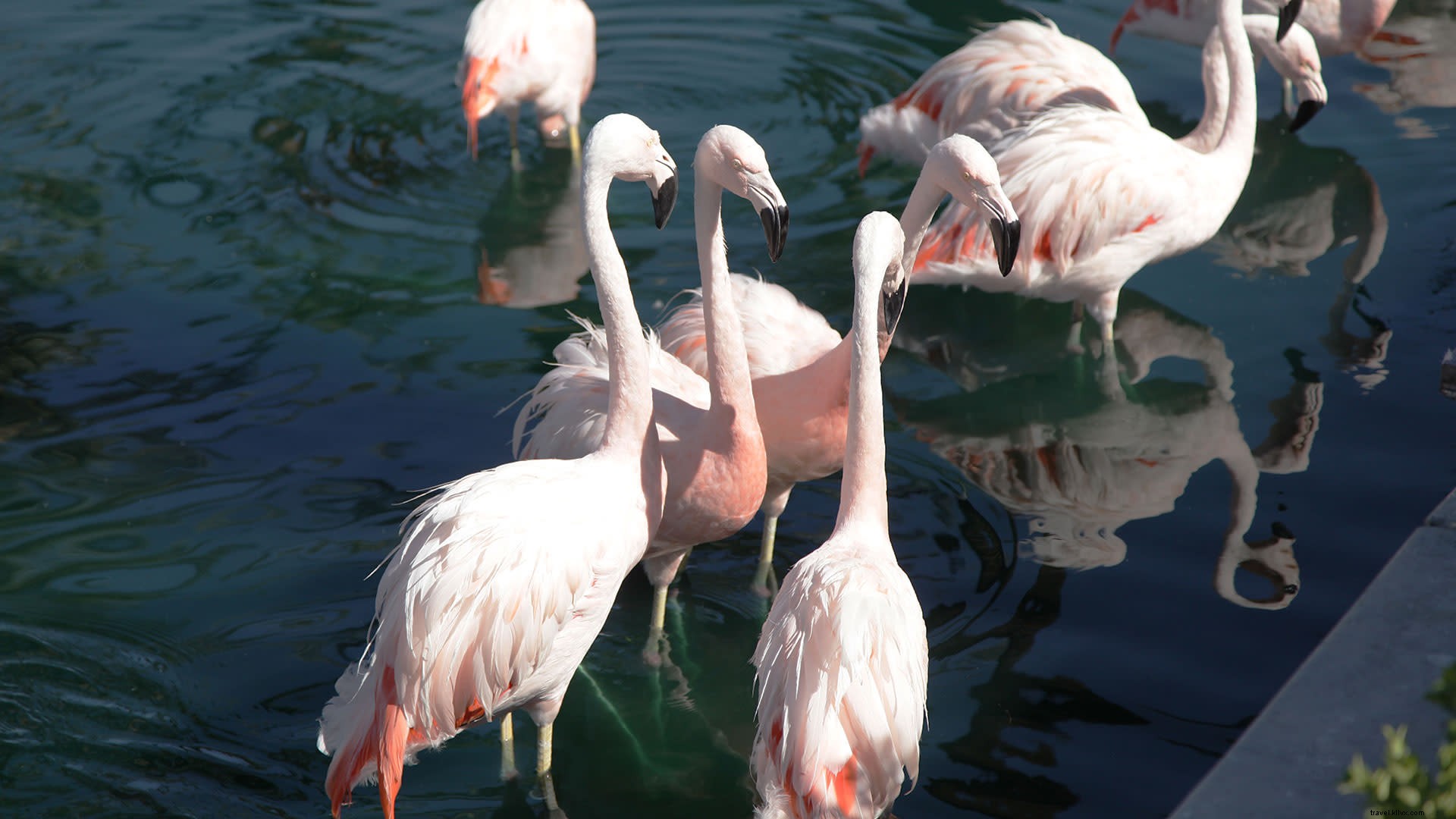 Top Instagram-Worthy Spots in Greater Palm Springs: Ultimate Photo Guide