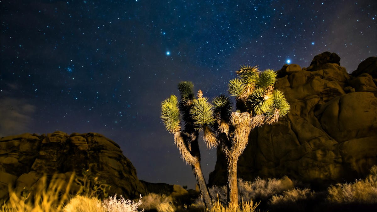 6 Exceptional Alcohol-Free Nighttime Adventures in Greater Palm Springs