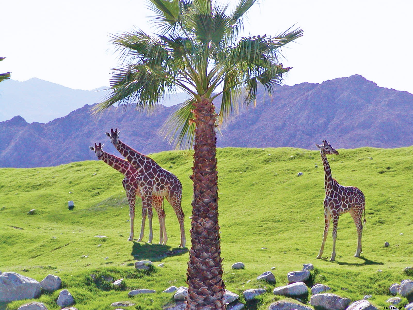 Ultimate 3-Day Itinerary for Palm Desert: Relaxation, Adventure, and Luxury