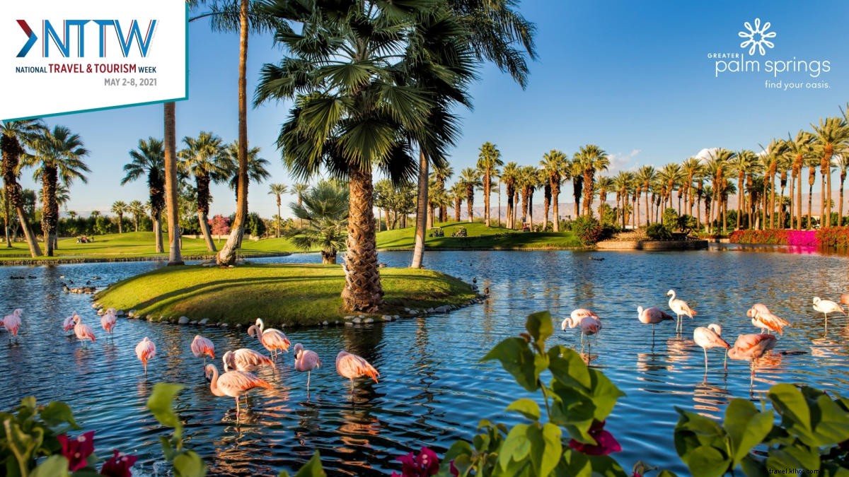 Free Greater Palm Springs Zoom Virtual Backgrounds for National Travel & Tourism Week