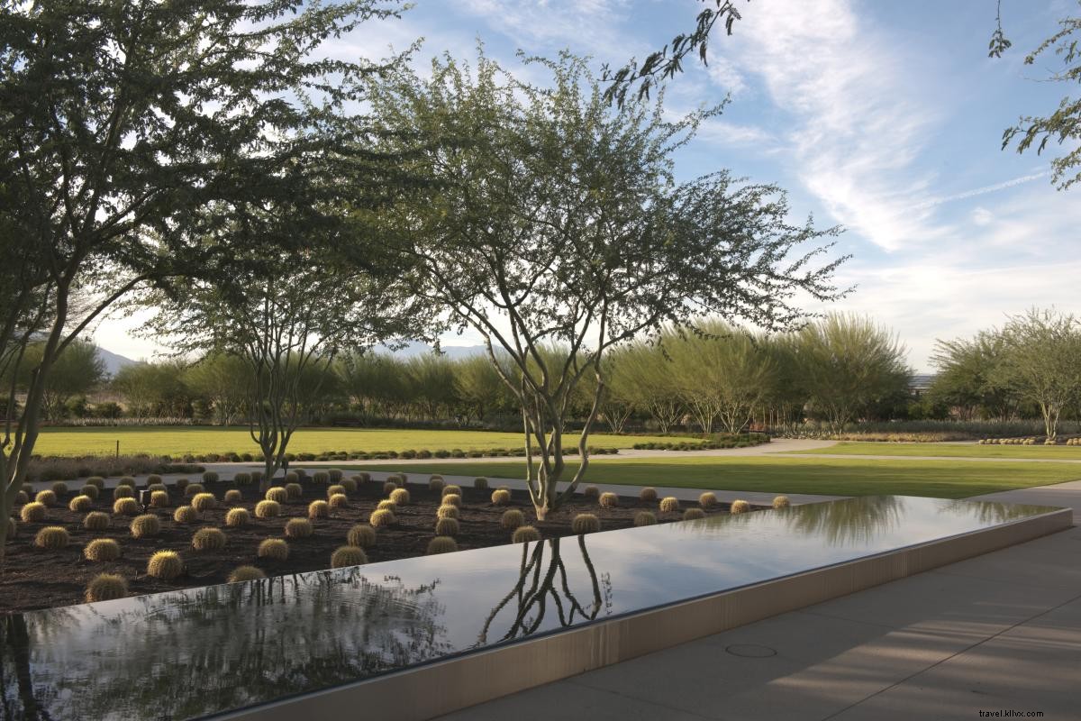 Discover Stunning Outdoor Public Art in Greater Palm Springs: Murals, Sculptures & Tours