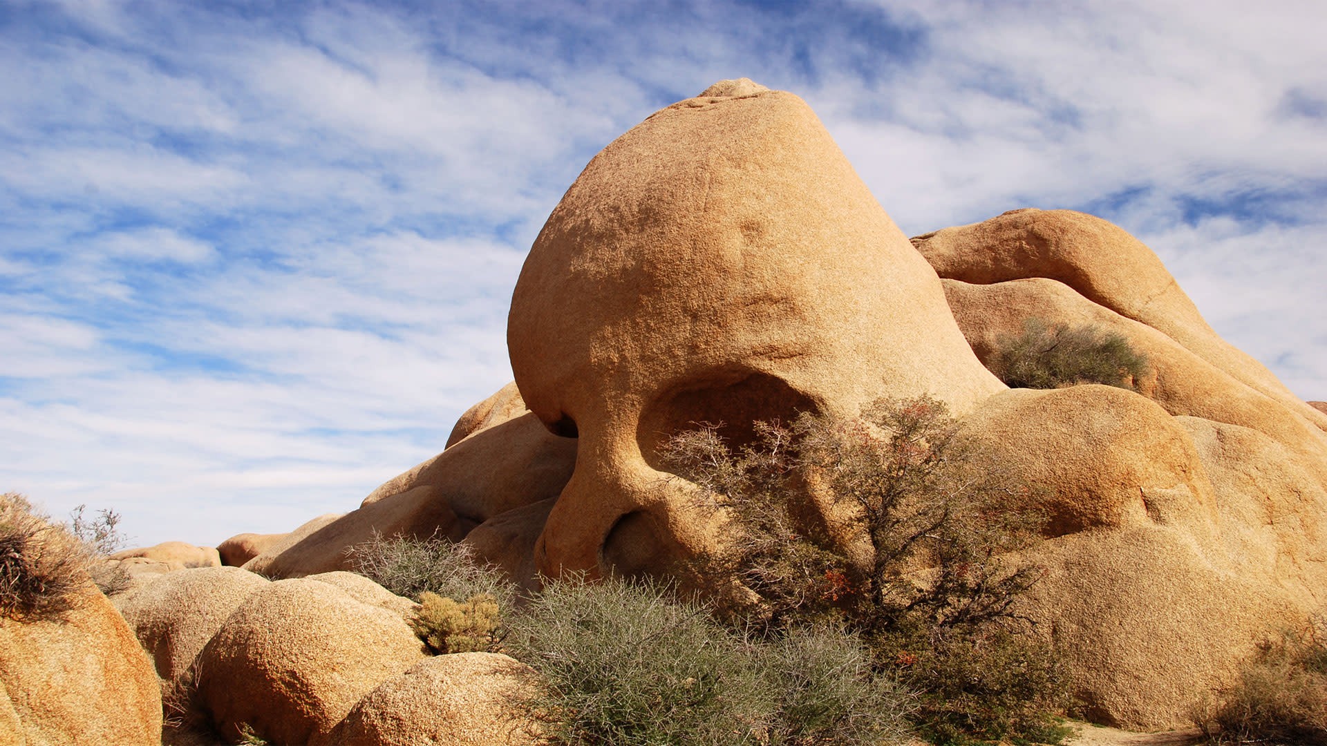 Joshua Tree National Park: Premier Destination for Hiking, Rock Climbing, and Desert History