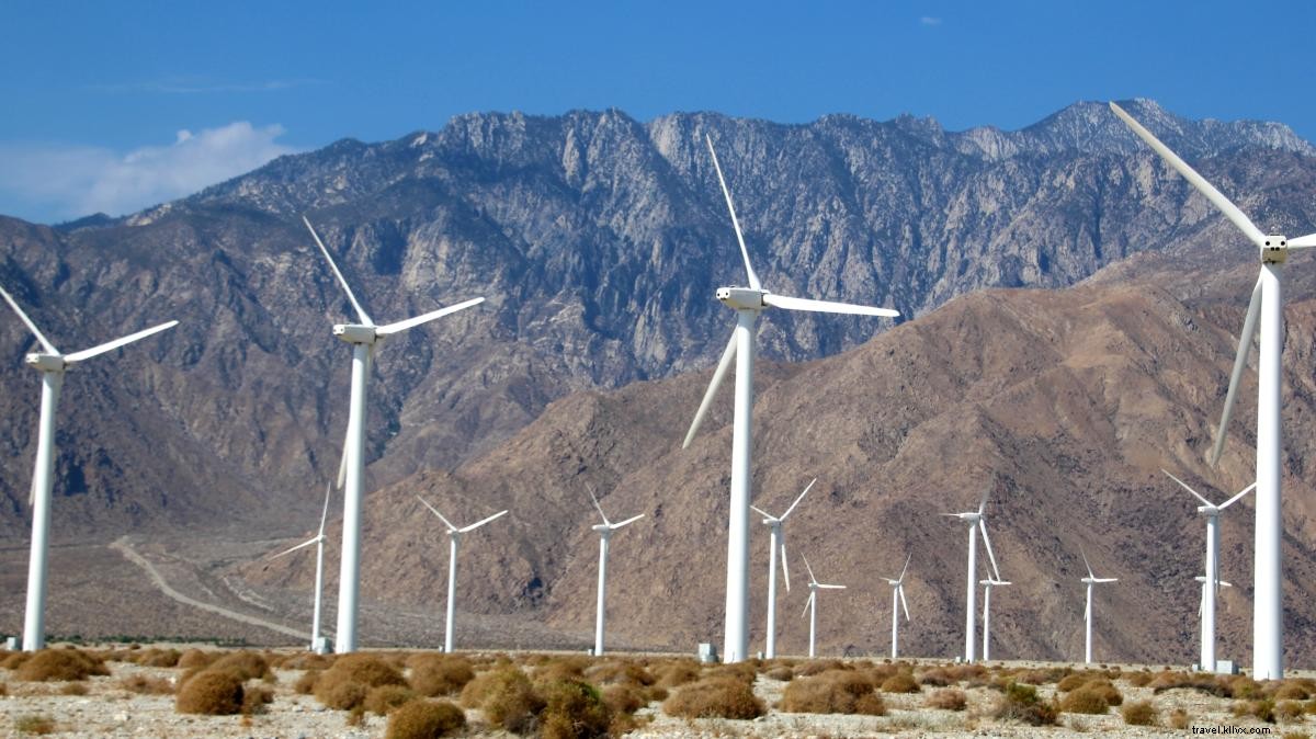 Top 5 Expansive Open Spaces in Greater Palm Springs for Outdoor Bliss