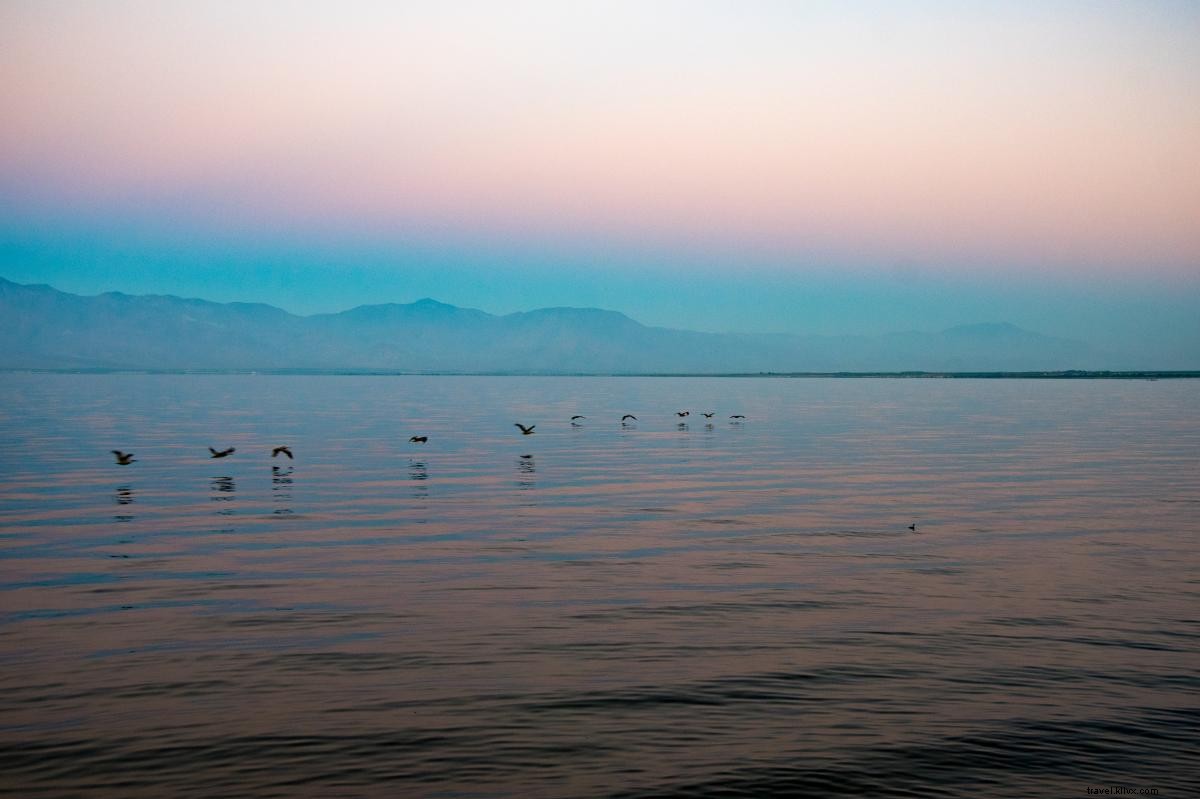 Ultimate Family Field Trip Guide to Greater Palm Springs: Educational Adventures Await