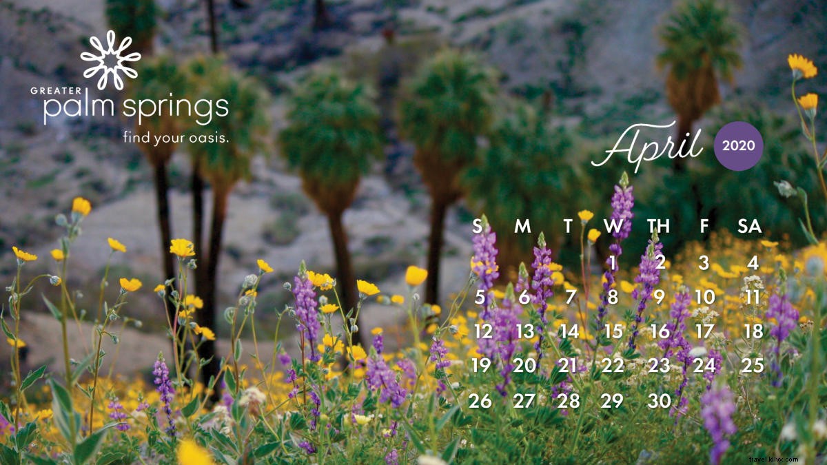 Stunning April 2020 Calendar Wallpapers: Free Desktop & Mobile Backgrounds from Greater Palm Springs