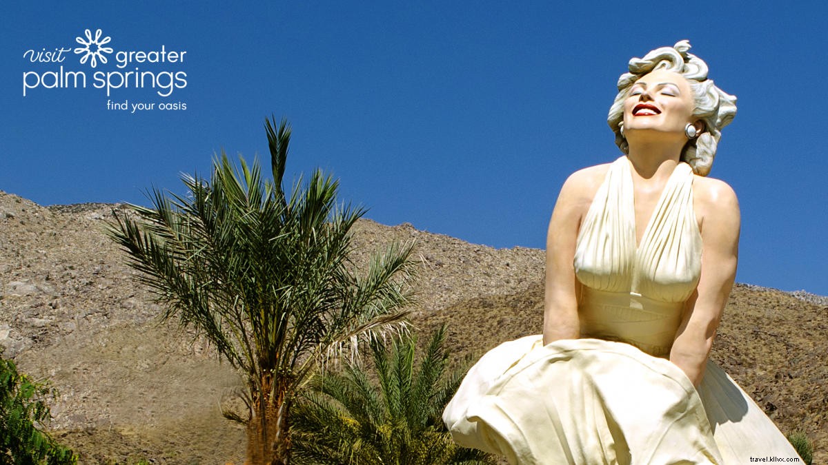 Stunning Greater Palm Springs Zoom Backgrounds: Free Downloads for Virtual Meetings