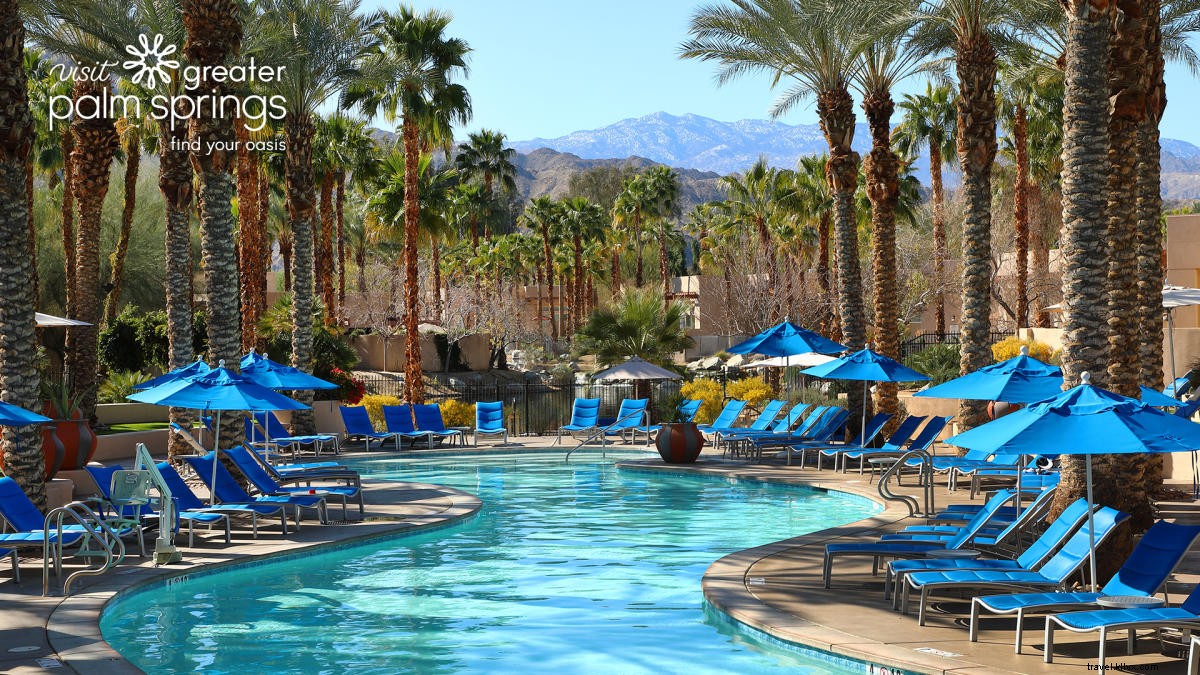 Stunning Greater Palm Springs Zoom Backgrounds: Free Downloads for Virtual Meetings
