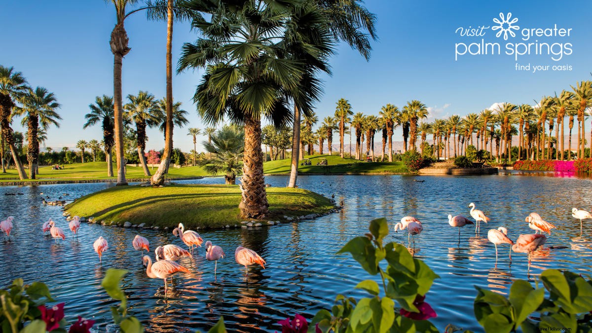 Stunning Greater Palm Springs Zoom Backgrounds: Free Downloads for Virtual Meetings