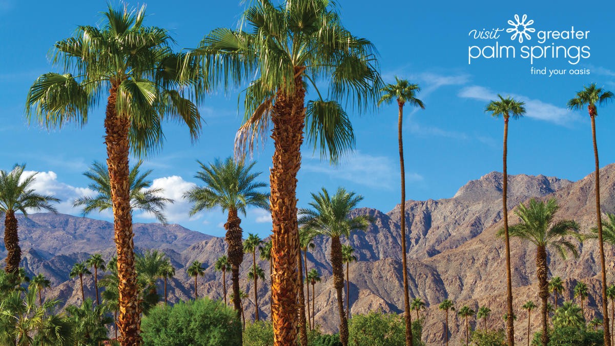 Stunning Greater Palm Springs Zoom Backgrounds: Free Downloads for Virtual Meetings