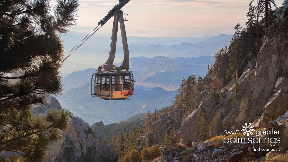 Stunning Greater Palm Springs Zoom Backgrounds: Free Downloads for Virtual Meetings