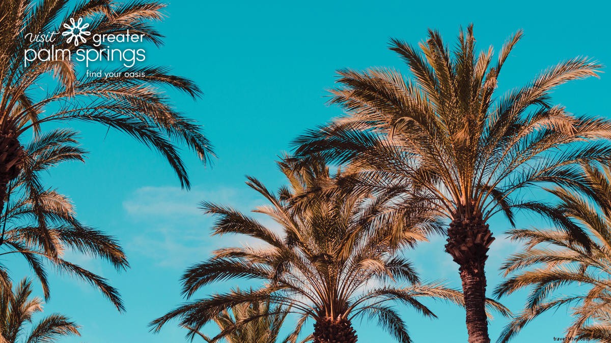 Stunning Greater Palm Springs Zoom Backgrounds: Free Downloads for Virtual Meetings