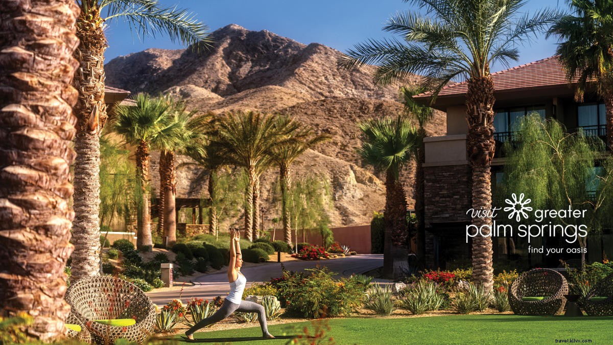 Stunning Greater Palm Springs Zoom Backgrounds: Free Downloads for Virtual Meetings