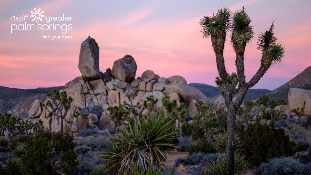Stunning Greater Palm Springs Zoom Backgrounds: Free Downloads for Virtual Meetings