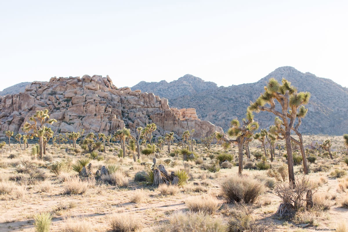 Discover Greater Palm Springs: Immersive Virtual Tours of Iconic Attractions