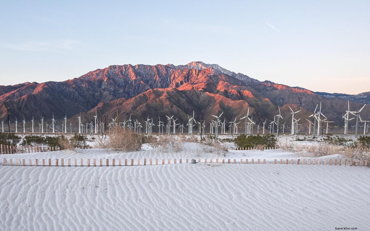 Best Nature Photography Spots in Greater Palm Springs