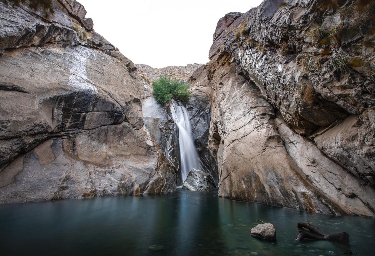 Best Nature Photography Spots in Greater Palm Springs