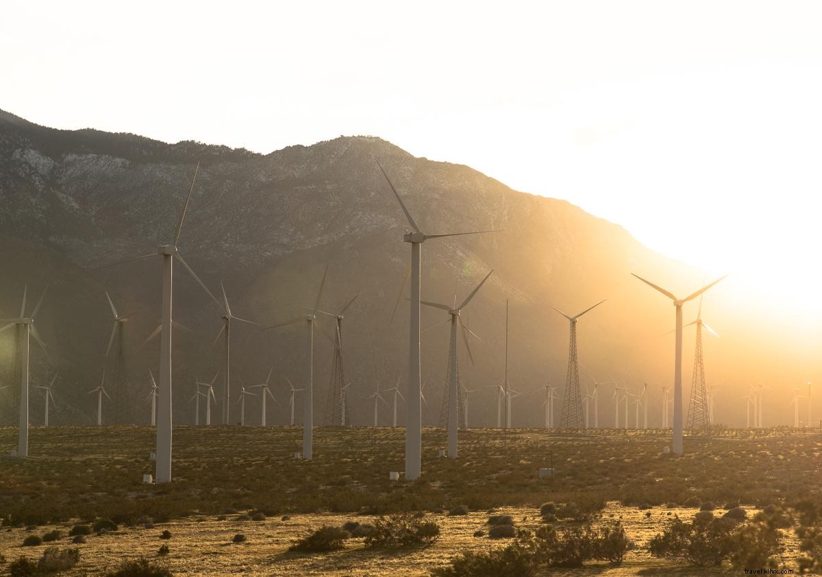 Plan Your Perfect 4-Day Weekend Getaway in Greater Palm Springs for Any Budget