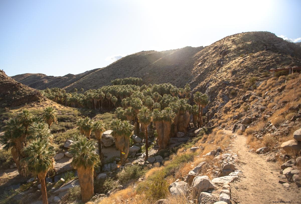 Best Hikes in Tahquitz Canyon and Indian Canyons: Trails, Waterfalls, and Cahuilla Heritage