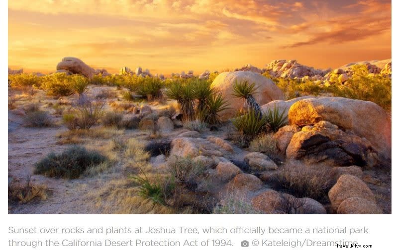 Celebrating 25 Years of California Desert Protection: How Conservation Has Fueled Thriving Tourism