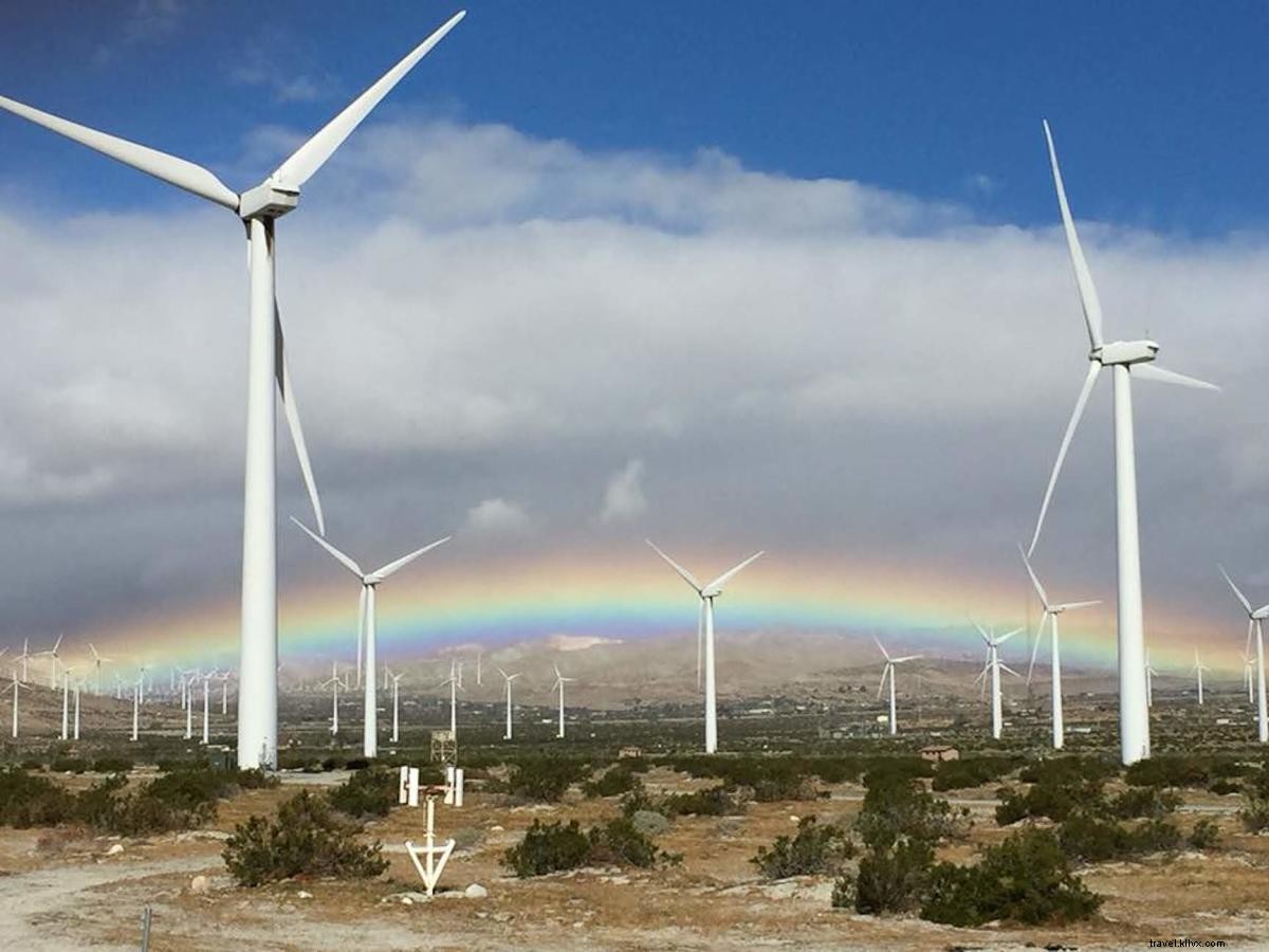 Iconic Wind Farms of Greater Palm Springs: The Desert Oasis s Signature Welcome