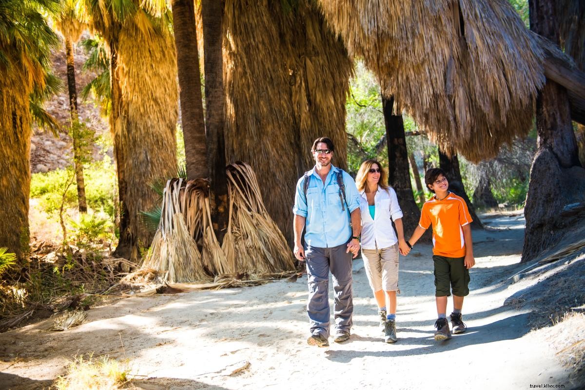 Unplug and Recharge: Top Tech-Free Activities for Your Greater Palm Springs Vacation