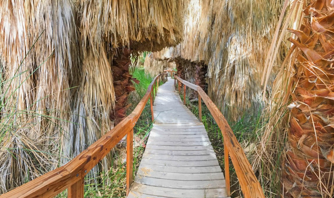 7 Compelling Reasons to Visit Greater Palm Springs This Fall