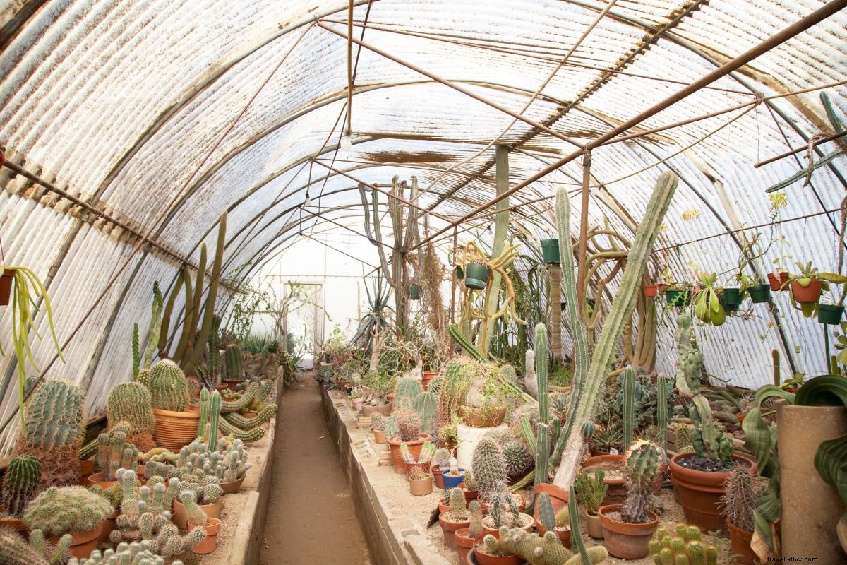 Ultimate Girls  Getaway Guide to Greater Palm Springs: Pools, Dining & Outdoor Adventures