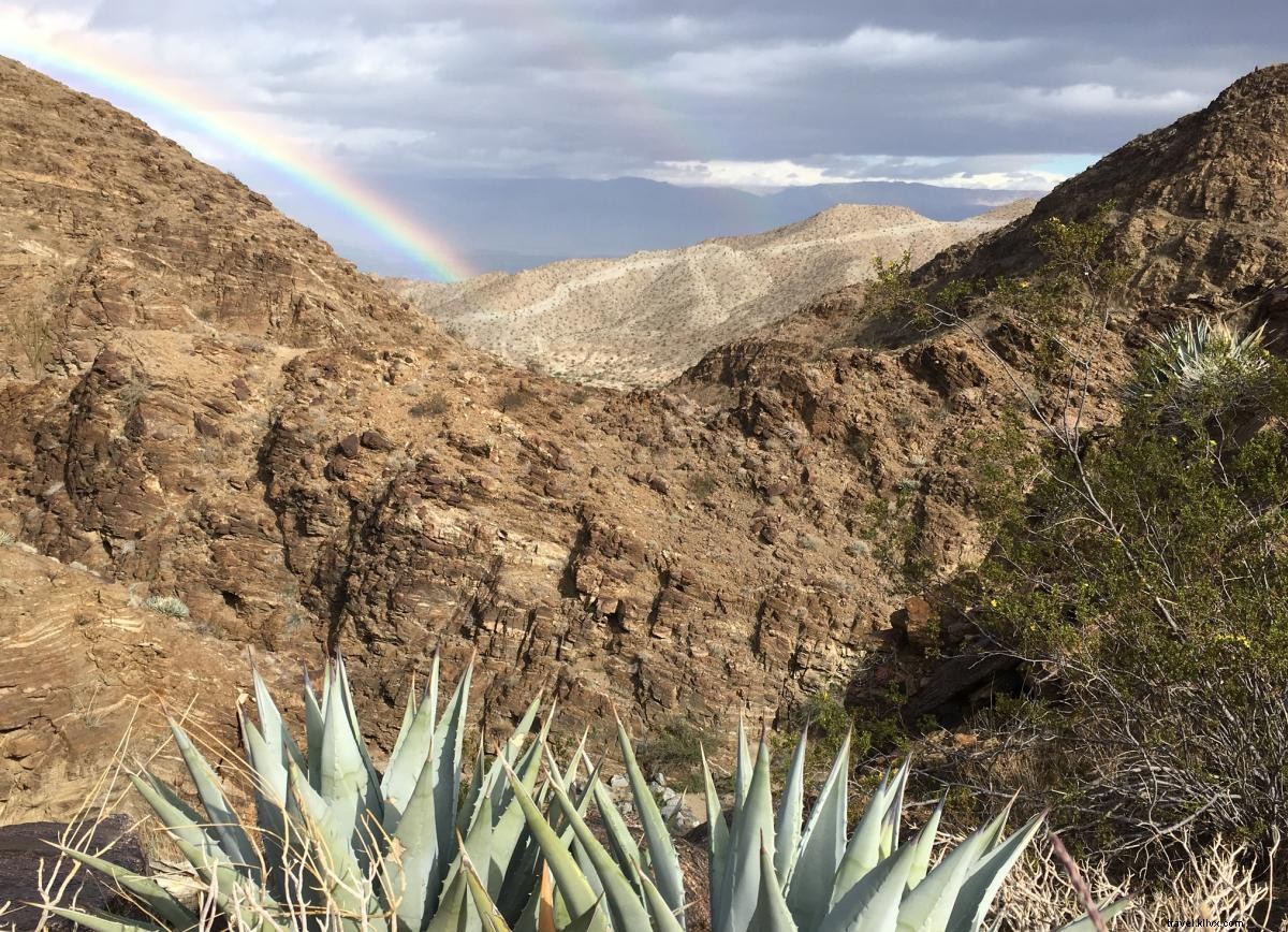 Ring in 2021 Safely in Greater Palm Springs: Outdoor Activities, Gourmet Takeout & More