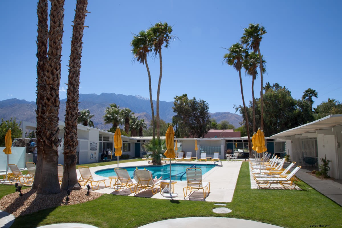 Top Pools in Greater Palm Springs: The Ultimate Guide for Every Vibe