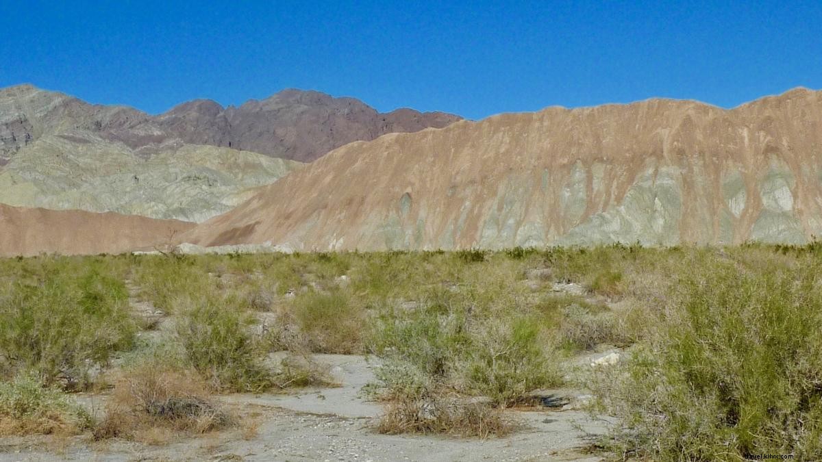 Discover 5 Beginner-Friendly Hikes in Greater Palm Springs