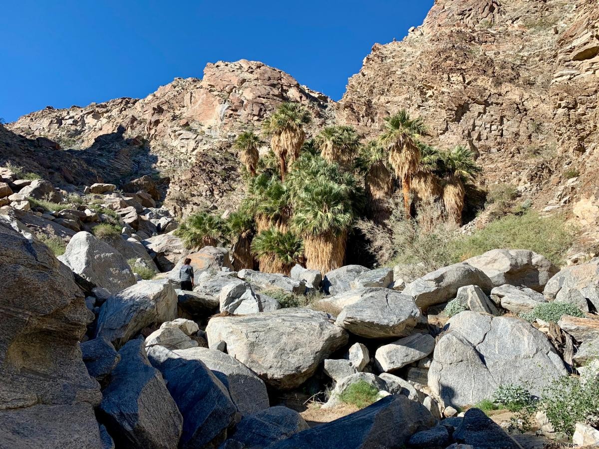 Discover 5 Beginner-Friendly Hikes in Greater Palm Springs