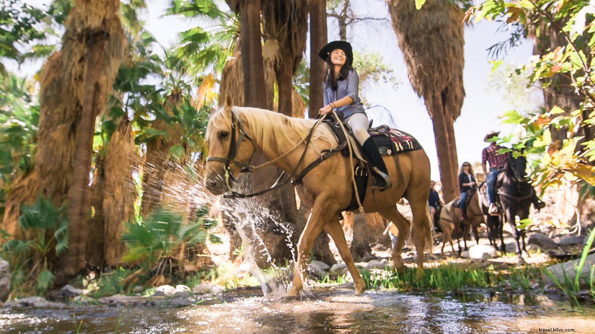 Top 8 Picture-Perfect Outdoor Adventures in Greater Palm Springs