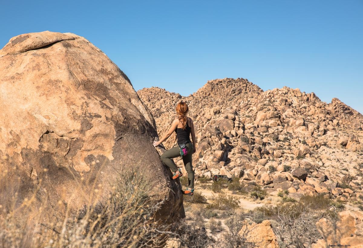 Top 8 Picture-Perfect Outdoor Adventures in Greater Palm Springs