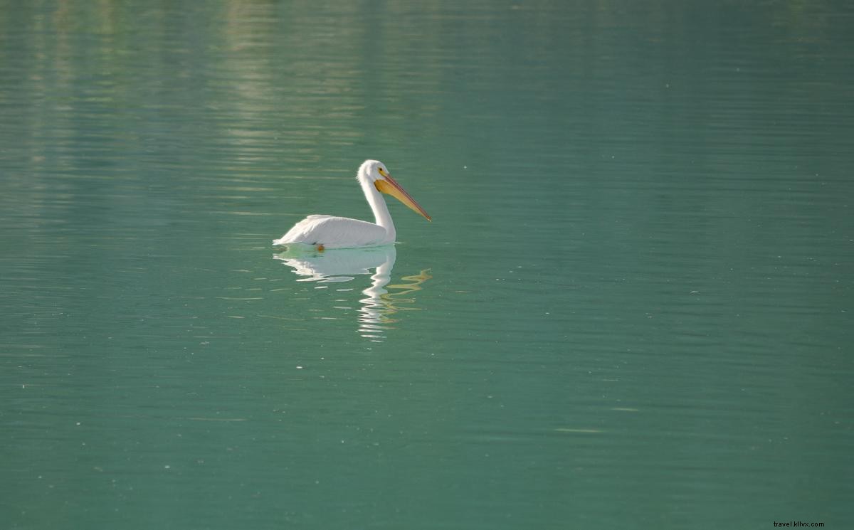 Top 8 Picture-Perfect Outdoor Adventures in Greater Palm Springs