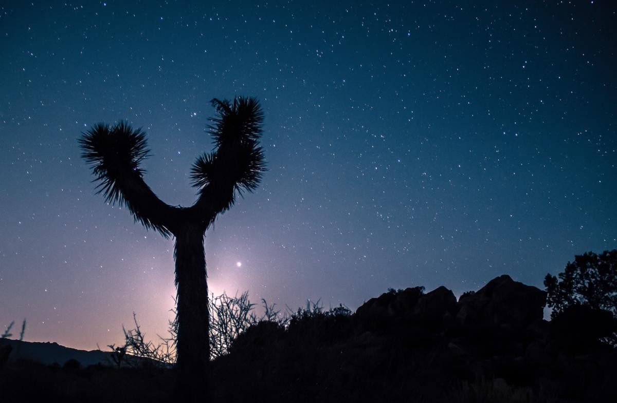 Top 8 Picture-Perfect Outdoor Adventures in Greater Palm Springs