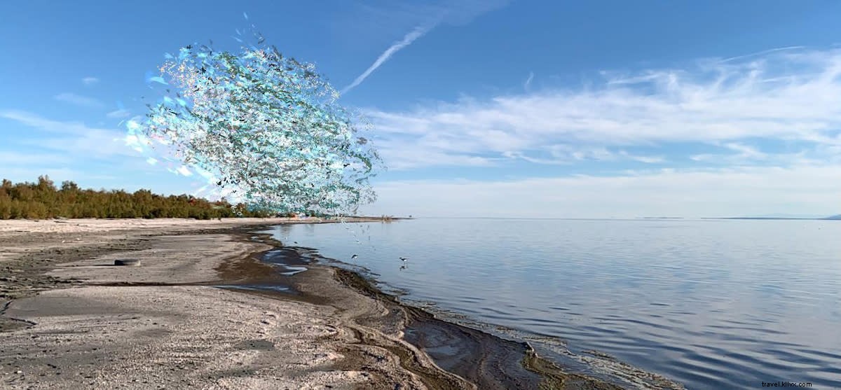 Desert X 2019 East Valley Guide: Locations, Coordinates & Essential Viewing Tips